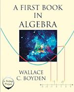 A First Book in Algebra