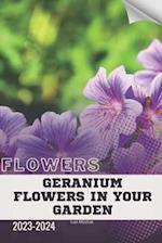 Geranium Flowers in Your Garden