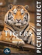 Tigers