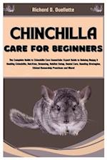 Chinchilla Care for Beginners