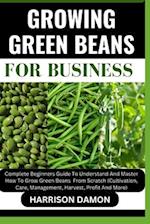 Growing Green Beans for Business