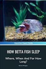How Betta Fish Sleep