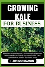 Growing Kale for Business