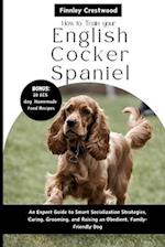 How to Train Your English Cocker Spaniel