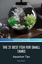 The 21 Best Fish For Small Tanks