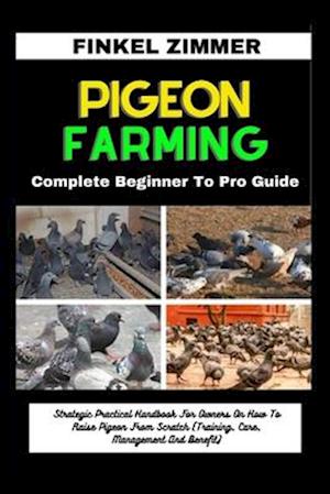 Pigeon Farming