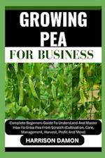 Growing Pea for Business