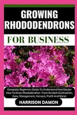 Growing Rhododendrons for Business