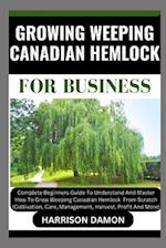 Growing Weeping Canadian Hemlock for Business