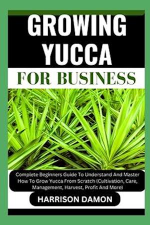 Growing Yucca for Business