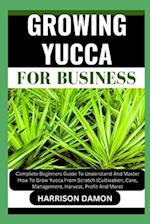 Growing Yucca for Business