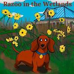 Razoo in the Wetlands