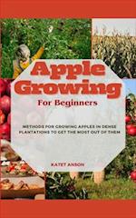 Apple Growing for Beginners