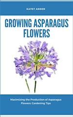 Growing Asparagus Flowers