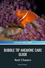 Bubble Tip Anemone Care Guide