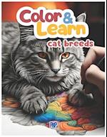 Color&Learn