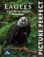 Eagles