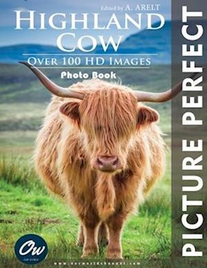 Highland Cow