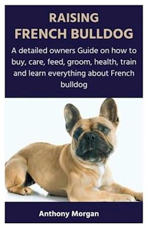 Raising French Bulldog