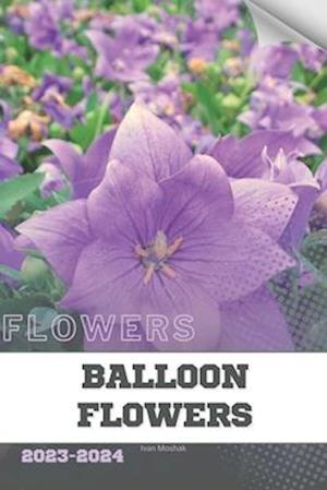 Balloon Flowers