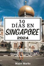 30 Días En Singapore 2024