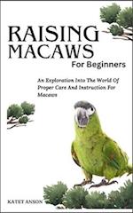 Raising Macaws for Beginners