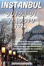 Istanbul Guida Di Viaggio 2024