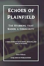 Echoes of Plainfield - The Stabbing that Shook a Community