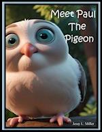 Meet Paul The Pigeon