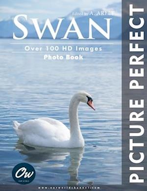 Swan