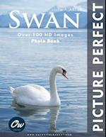 Swan