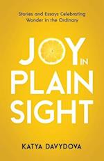 Joy in Plain Sight