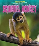 Squirrel Monkey