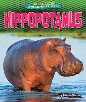 Hippopotamus