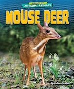 Mouse Deer