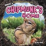 Inside a Chipmunk's Home