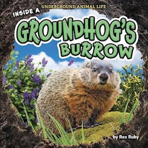 Inside a Groundhog's Burrow