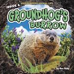 Inside a Groundhog's Burrow