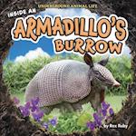 Inside an Armadillo's Burrow