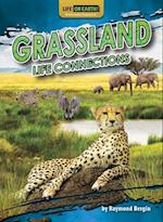 Grassland Life Connections