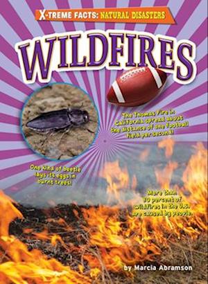 Wildfires