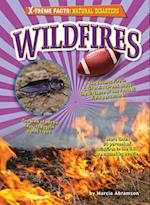 Wildfires