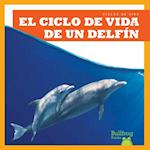 El Ciclo de Vida de Un Delf&#1085;n (a Dolphin's Life Cycle)