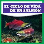 El Ciclo de Vida de Un Salm&#1091;n (a Salmon's Life Cycle)