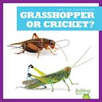 Grasshopper or Cricket?