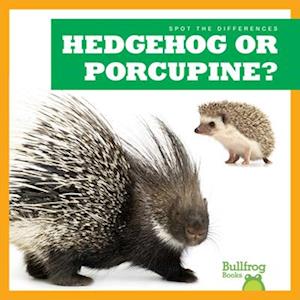 Hedgehog or Porcupine?