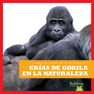 Cr&#1085;as de Gorila En La Naturaleza (Gorilla Infants in the Wild)