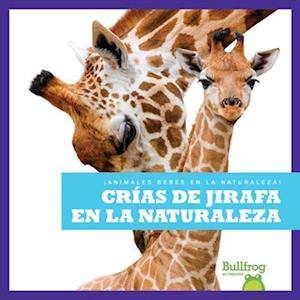 Cr&#1085;as de Jirafa En La Naturaleza (Giraffe Calves in the Wild)