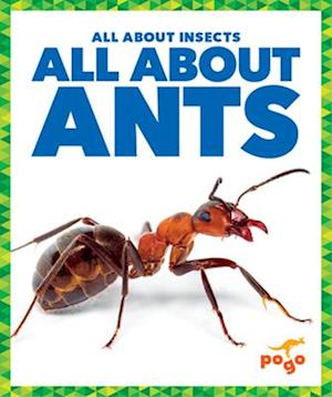 All about Ants