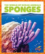 Sponges